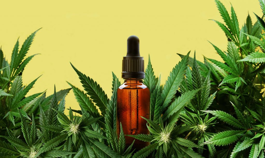 L Huile De Cbd Un Produit Bio Pour Am Liorer Votre Sommeil