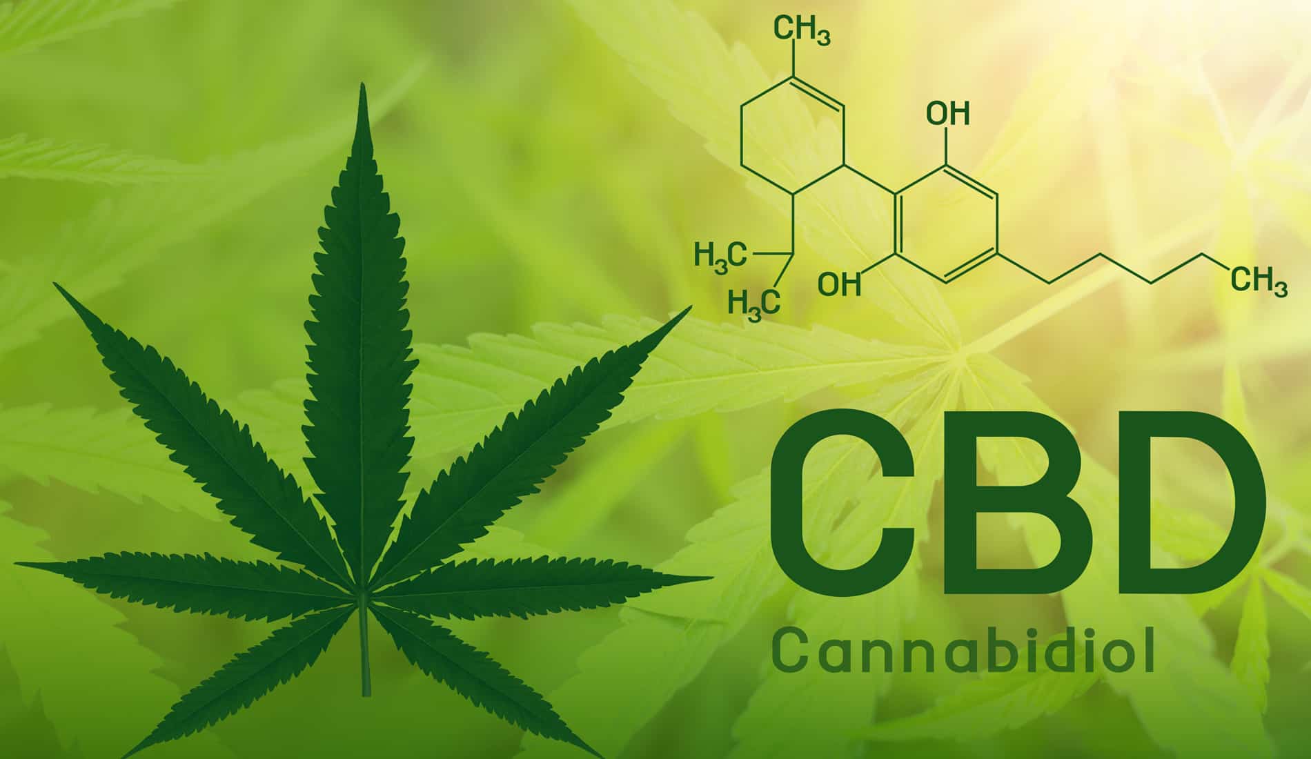 cannabis cbd legal