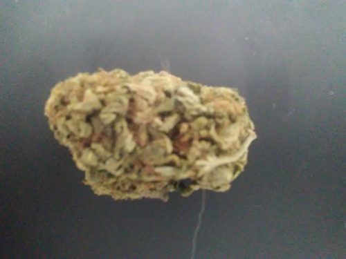 Cannabis CBD Juicy Fruit par Jullien G.