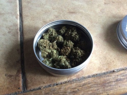 Cannabis CBD Juicy Fruit par Benja
