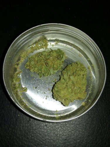 Cannabis Diesel par Magali C.