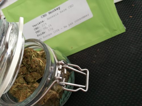 Cannabis Amnesia Haze par Hakim F.