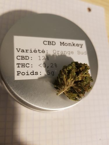 Cannabis Orange Bud V2 par K