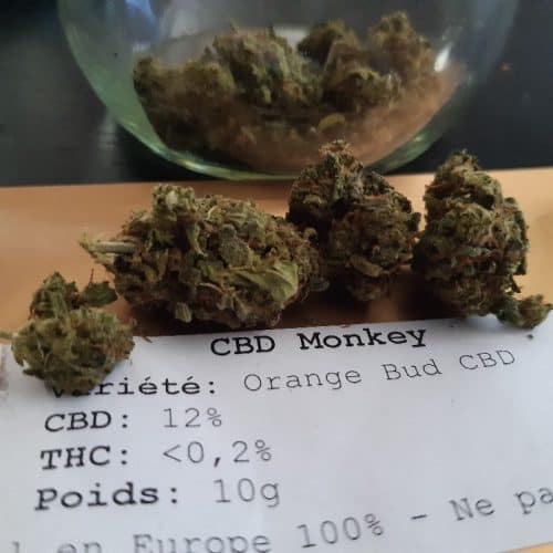 Cannabis Orange Bud V2 CBD par Damien G.