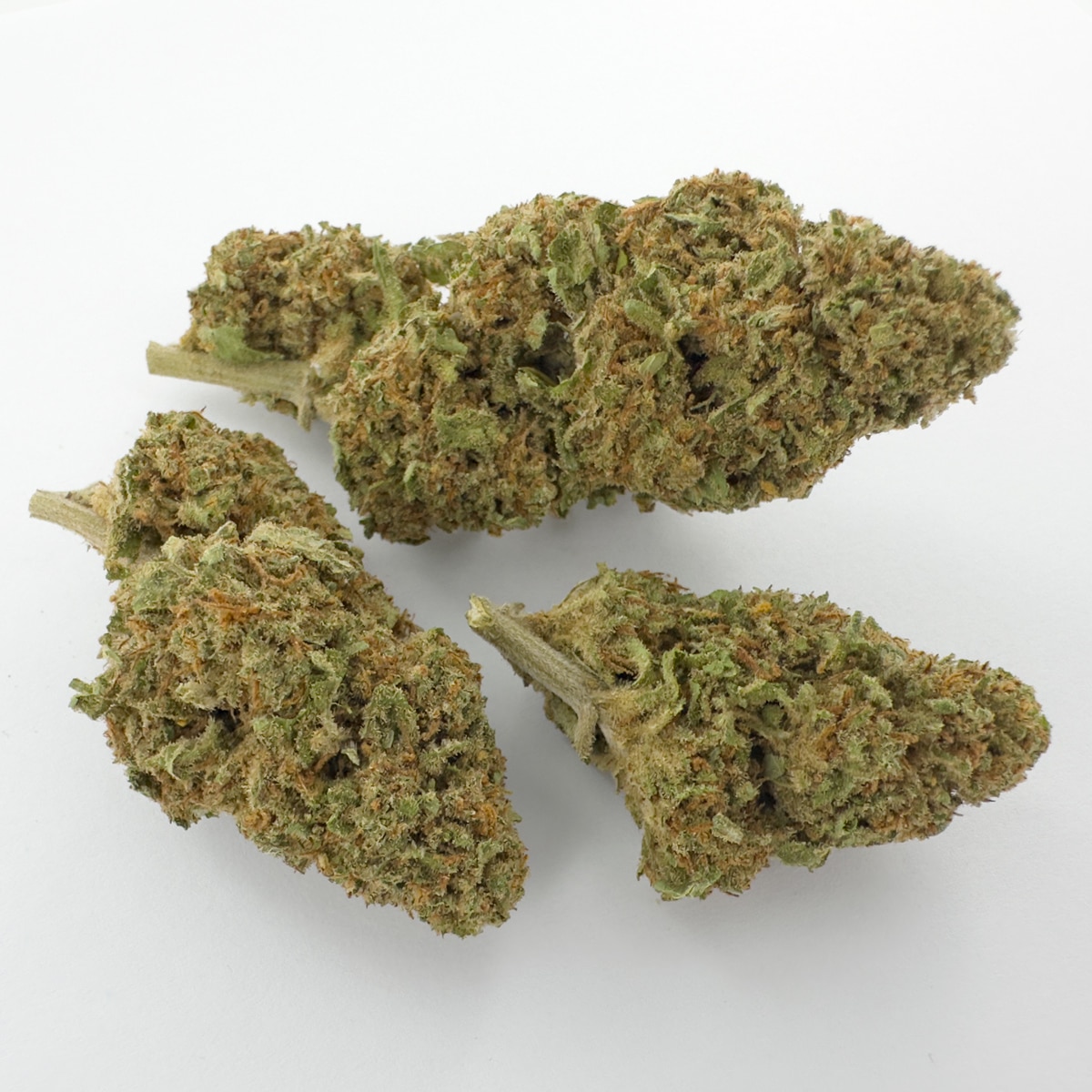 orange bud cbd