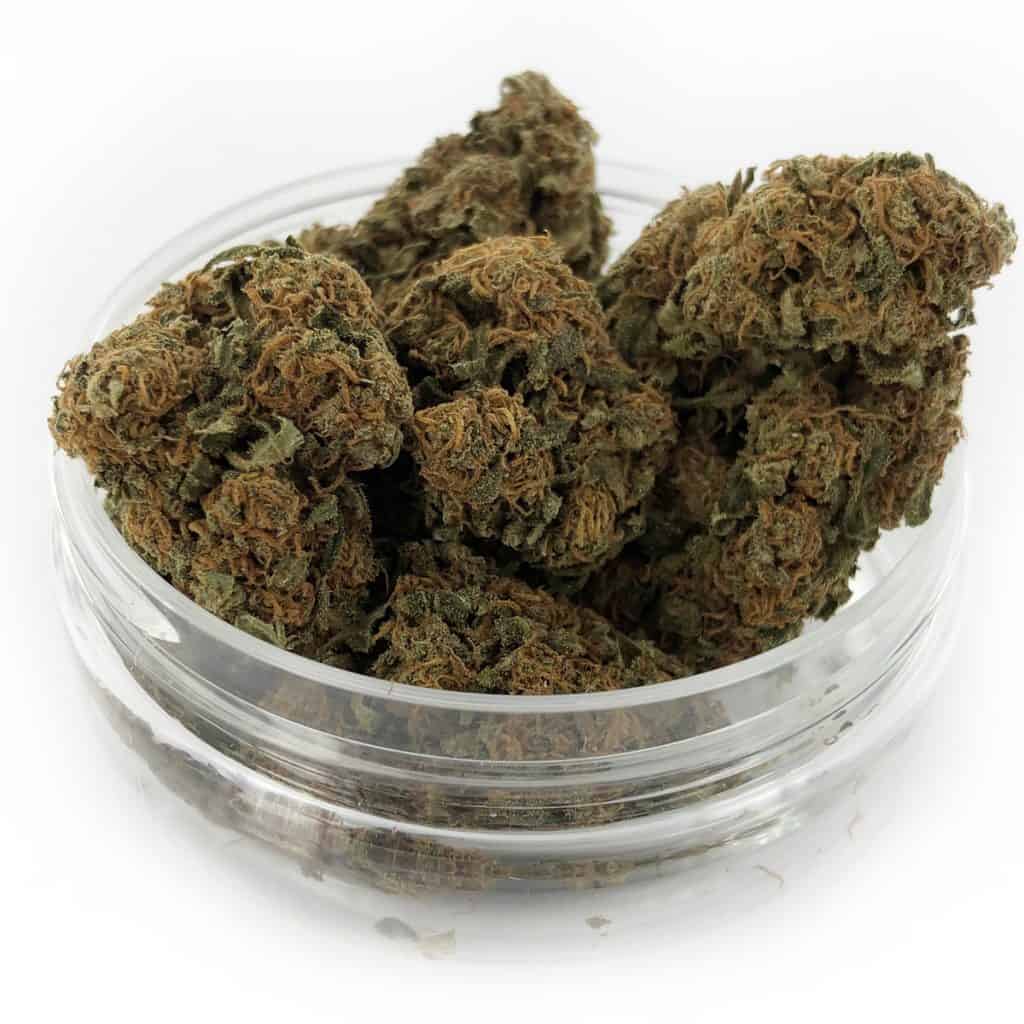 Orange Bud CBD main image 0