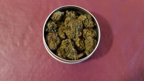 Weed CBD Girl Scout Cookie par Polo