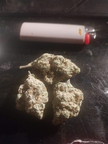 Royal Cheese CBD