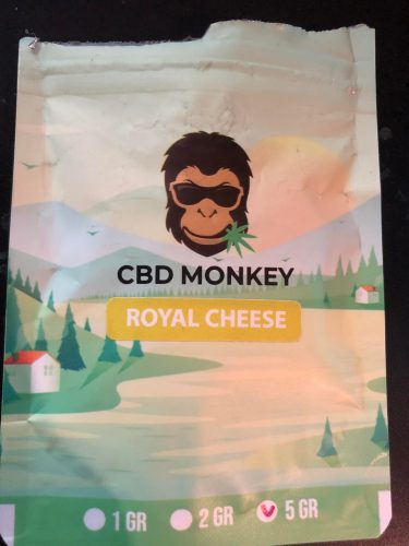 Cannabis Royal Cheese CBD par Michel T.