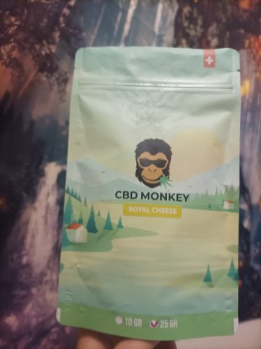 Royal Cheese CBD