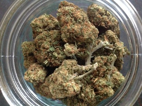 Cannabis Pineapple Kush par arnau