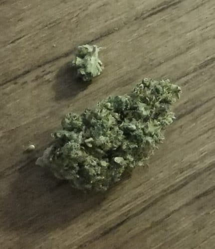 Cannabis Pinapple Kush CBD par Romain L.