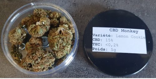 Cannabis CBD Lemon Cookie par VK Leon