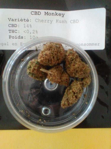 Weed CBD Cherry Kush par Axis K.
