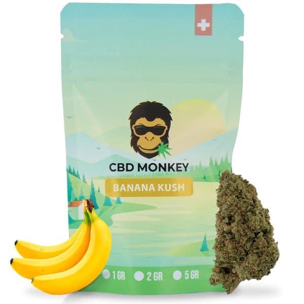 Banana Kush CBD