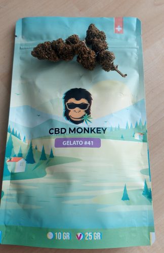 Gelato #41 CBD