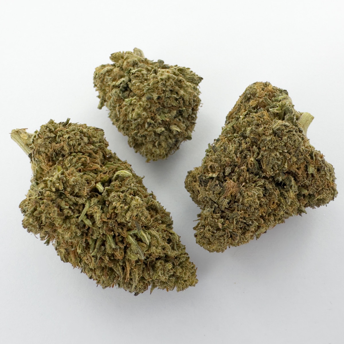 limoncello cbd