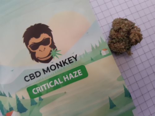 Weed CBD Critical Haze par Noemie R.