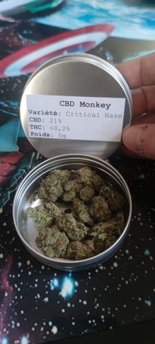 Weed CBD Critical Haze par Matt G.