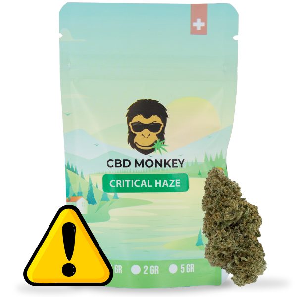 Critical Haze CBD