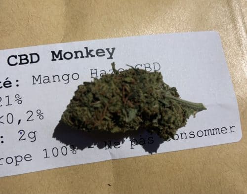 Cannabis Mango Haze CBD par Benoit M.