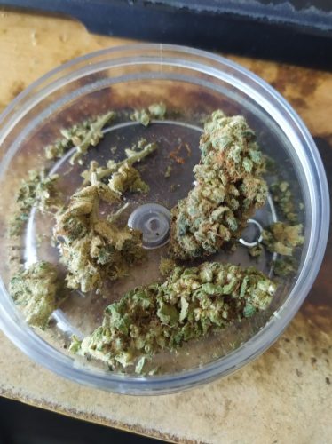 Cannabis Purple Haze par Fabio A.