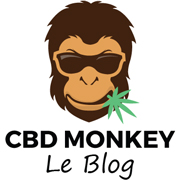 Le blog CBD Monkey