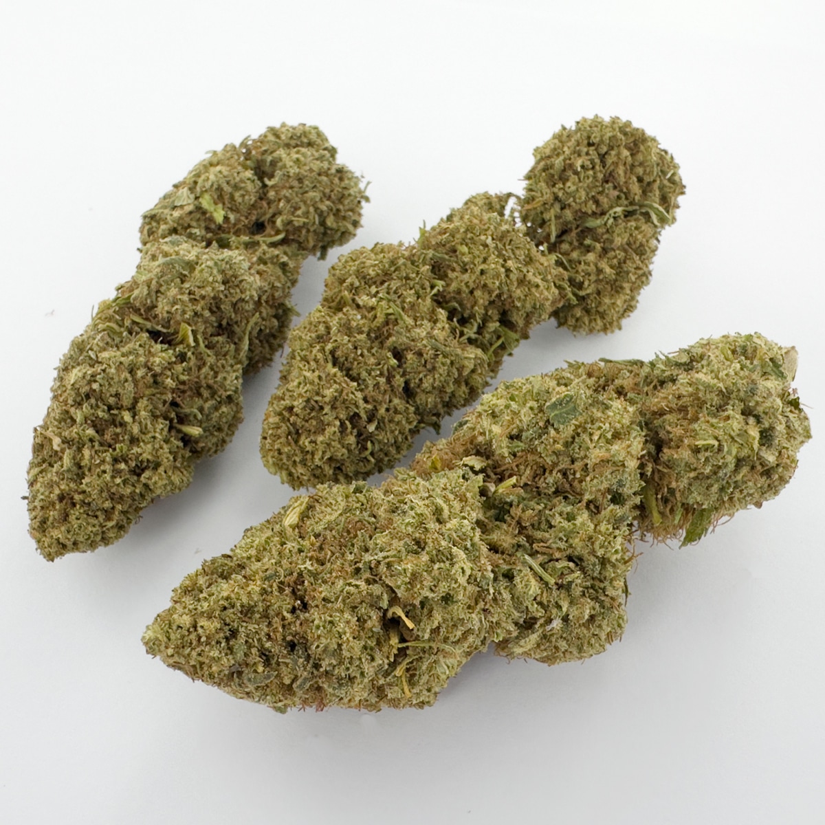 white melon cbd