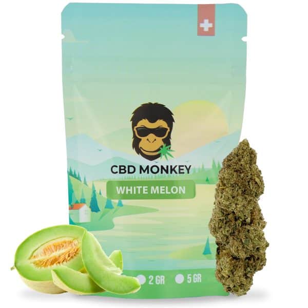 White Melon CBD