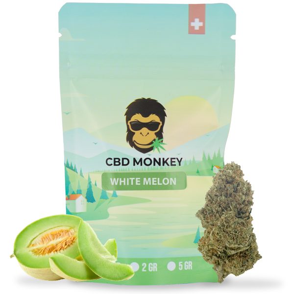 White Melon CBD