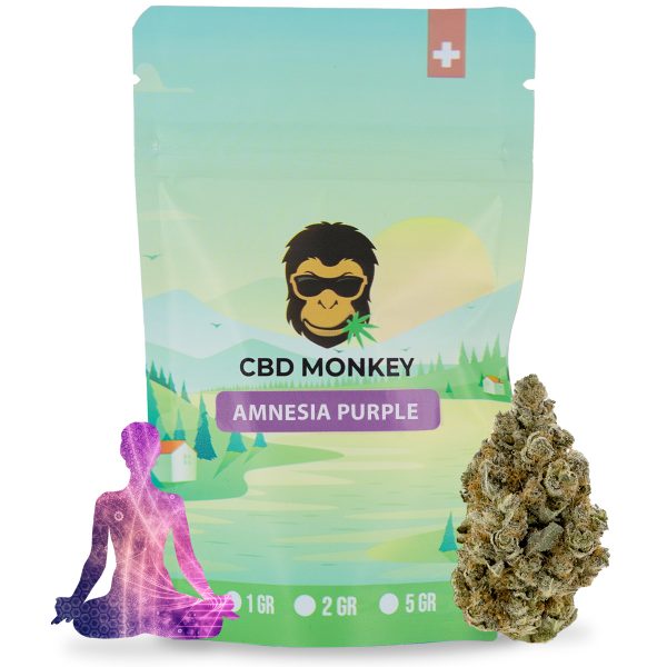 Amnesia Purple CBD