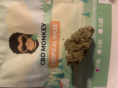 Tropical Haze CBD