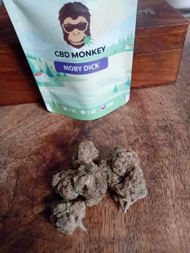 Moby Dick CBD