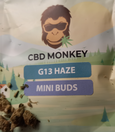 G13 Haze - Small Buds