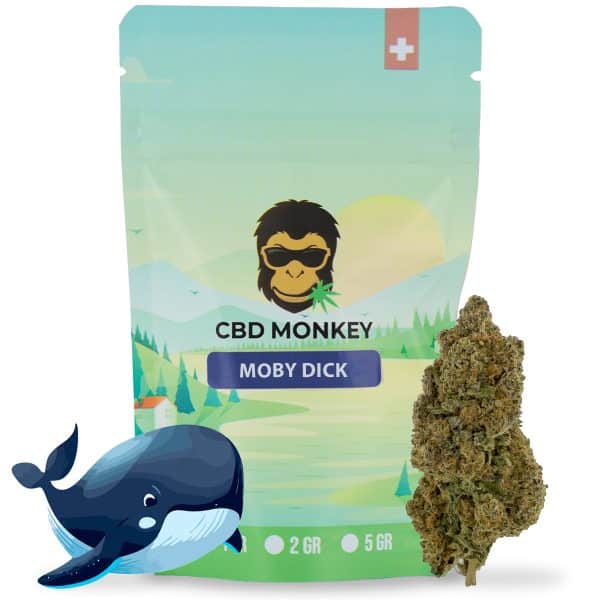 Moby Dick CBD
