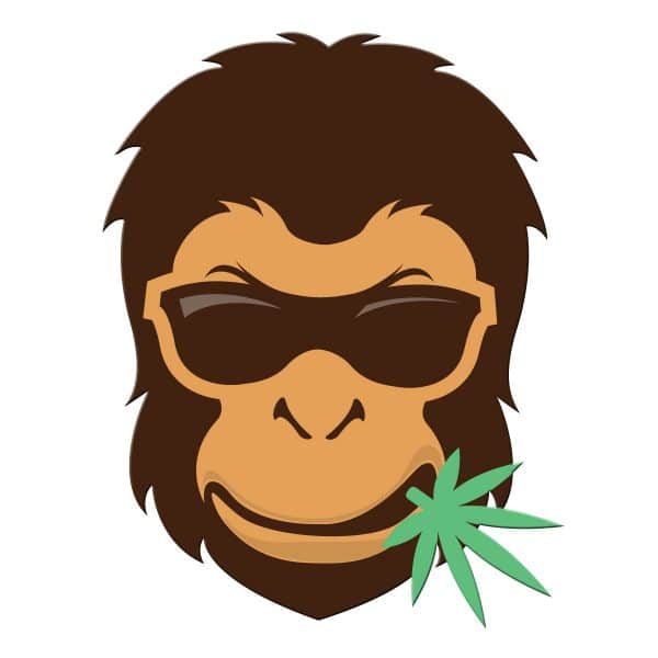 Sticker CBD Monkey Transparent 2025