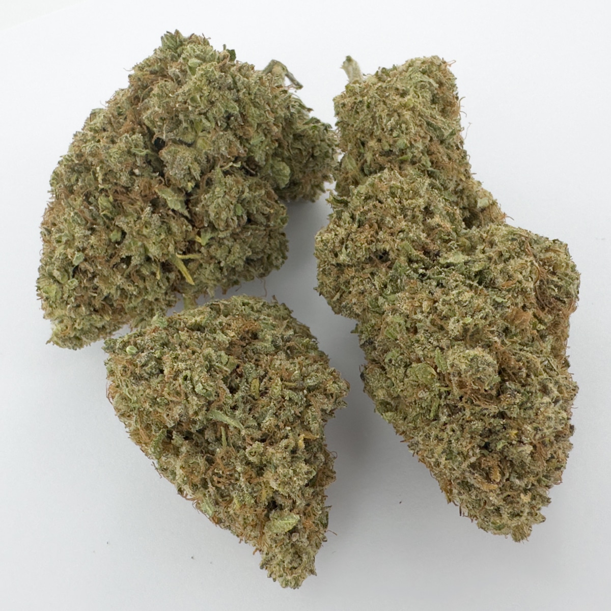 plutonium cbd