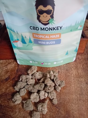 Tropical Haze - Small Buds