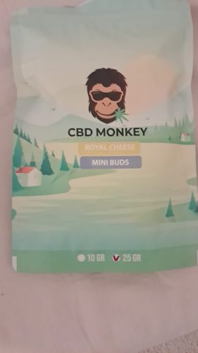 Royal Cheese - Small Buds