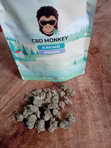 Alien Haze - Small Buds